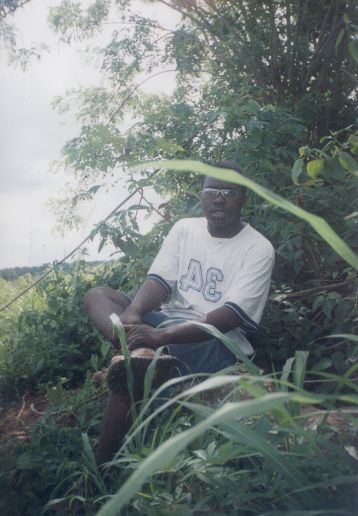 musa.jpg